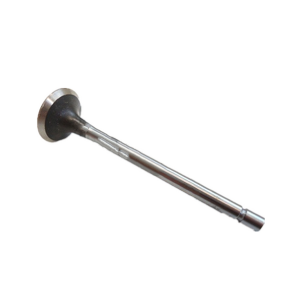 Aftermarket Partwerks Valve exhaust 02/802423 for ISUZU engine 4JJ1 in JCB model