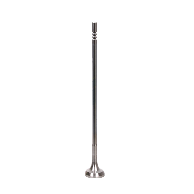 Aftermarket Partwerks Valve exhaust 1125520250 for ISUZU engine 6BG1 in JCB model