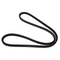 Partwerks Replacement Alternator Belt EPDM 3CGT083 For Zanotti