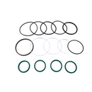 Aftermarket 8035981 SEAL KIT FOR JLG Telehandler 6036 6042 8042 10042 10054 1044C-54 Series